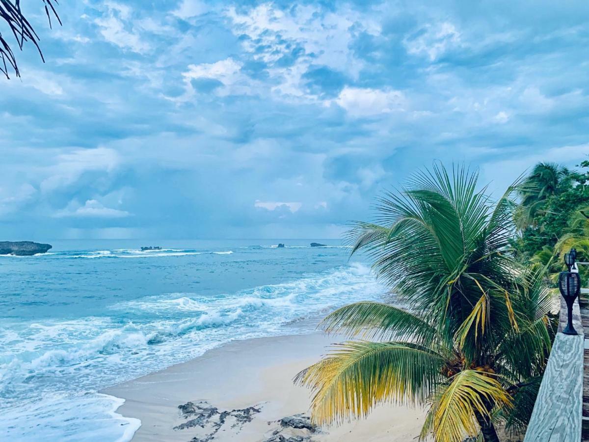 Ventana Al Atlantico At Arecibo 681 Ocean Drive Lägenhet Islote Exteriör bild