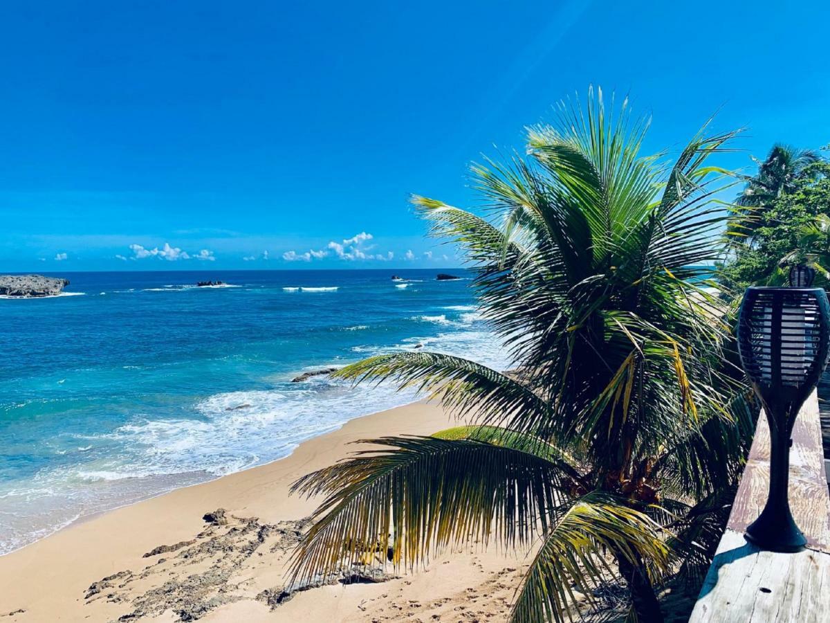 Ventana Al Atlantico At Arecibo 681 Ocean Drive Lägenhet Islote Exteriör bild